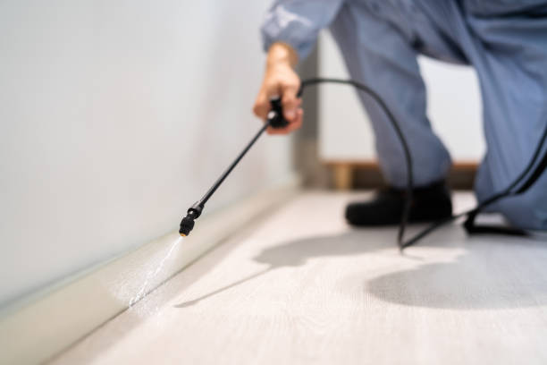Licensed Pest Control service in Roosevelt, NJ - Show Me Pest Control